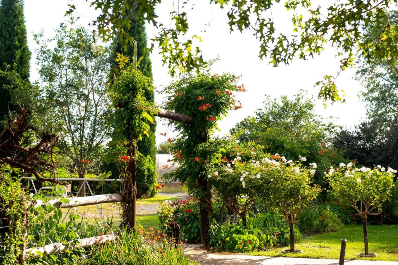 Wetlands Country House & Sheds Wakkerstroom Exteriör bild